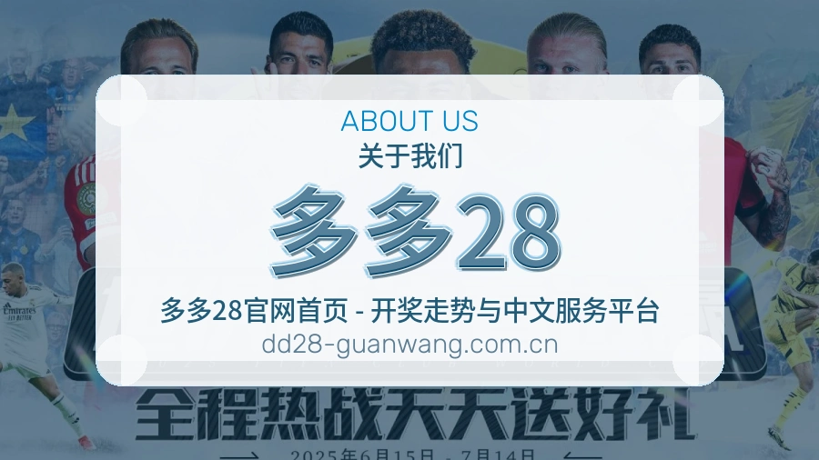 多多28平台介绍